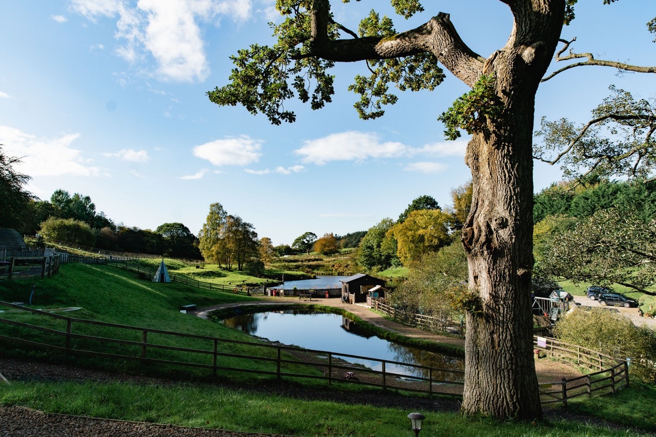 New Mills Trout Farm