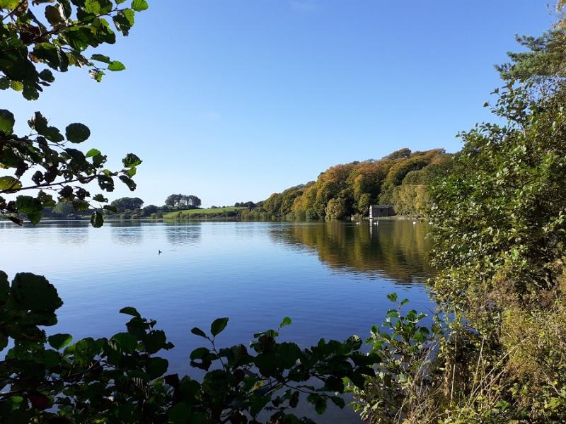 Talkin Tarn Country Park